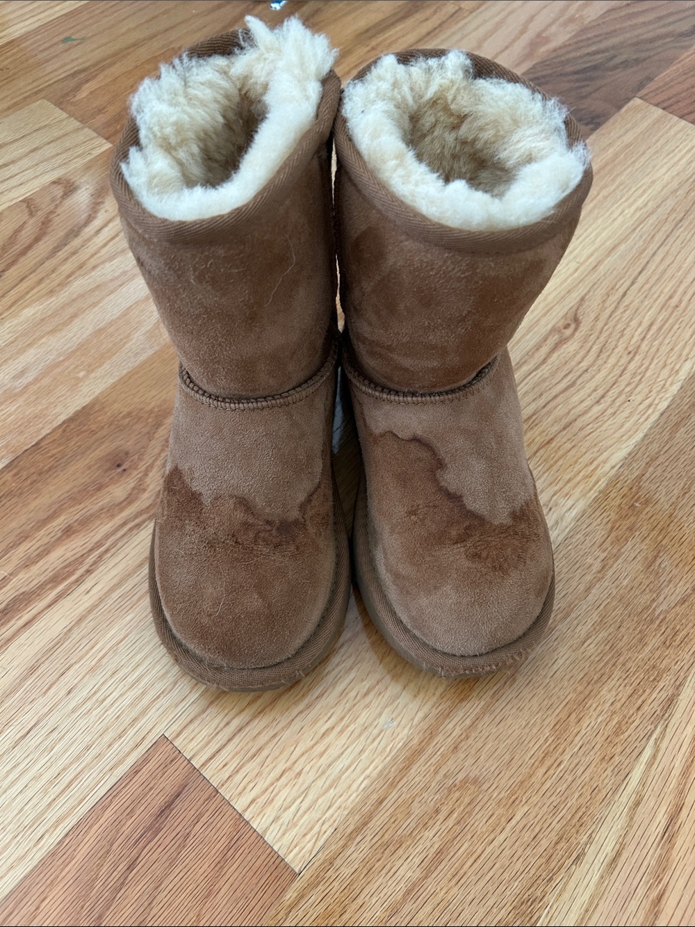 UGG Chestnut Suede Shearling Booties